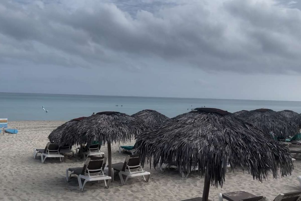 08E5BA53-F72B-4231-A475-1BB65DCB818C