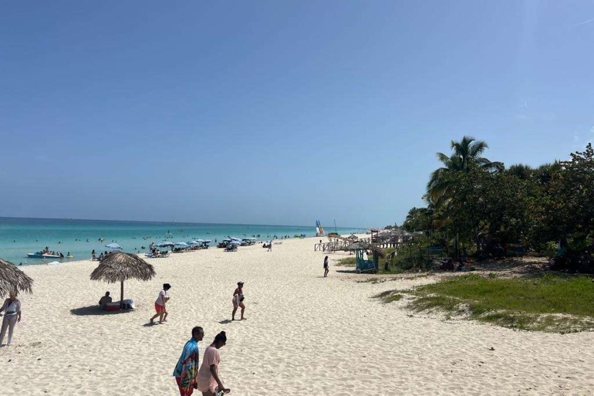 9E5BBC3D-C5C6-490B-871F-EAEEB7B6829A